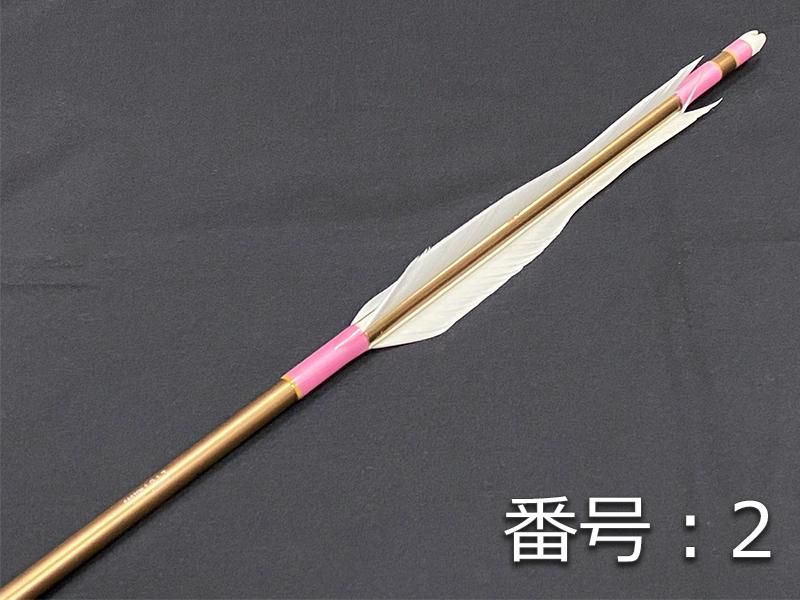 巻藁矢　ジュラ1913　羽根付き